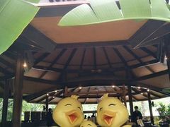 -厦门日月谷温泉渡假村