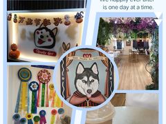 -Husky Go! 哈士奇体验馆·宠物咖啡厅狗咖