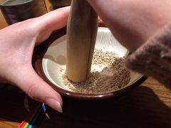 -山杏yama-katsu·吉列炸物
