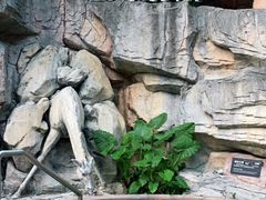 -海口观澜湖火山温泉谷