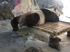 -海南热带野生动植物园