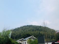 -蔡伦竹海