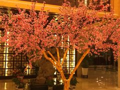 -苏苑饭店-中餐厅(长桥地区店)