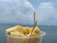 -三亚西岛海洋文化旅游区