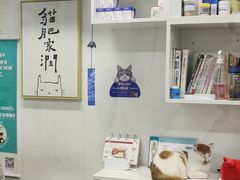 -联萌宠物医院(猫病专科)