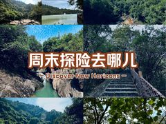 -广州白江湖森林公园