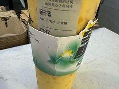-雾与山茶(大禹城店)