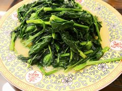清炒豌豆尖-烤肉季饭庄