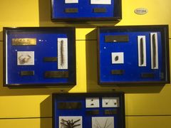 -上海昆虫博物馆