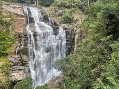 -海南热带雨林国家公园吊罗山景区