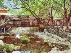 -天门沟九州驿站树上汤泉