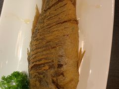 -老牌坊鲁菜名店(聊城美食岛店)