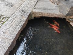 -前童古镇