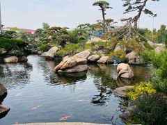 -罗红摄影艺术馆