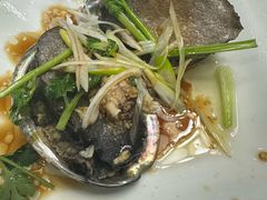 -渔码头食府(蓬莱阁店)