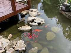 -昆明洲际酒店