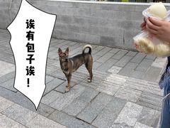-清泉阁包子铺(中山路店)