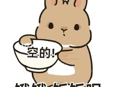 -圣夜东北菜烧烤·夜宵(胥江路店)