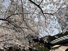 -玛格萝妮比萨屋(四平店)