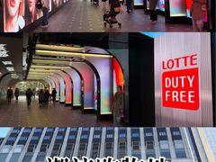 -乐天免税店(明洞店)