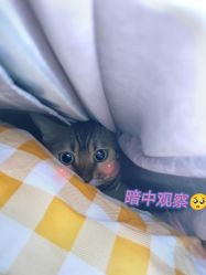 -爱丽丝ALICE Hair Salon