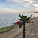 【三亚day1】适合海边蹦迪 喝点小酒吃海鲜