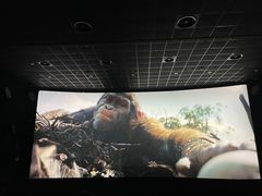 -百美汇影城(LUXE嘉里中心店)