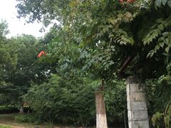 操场-江南大学(蠡湖校区)