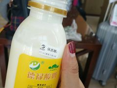 -德禄酸奶(莫家街店)