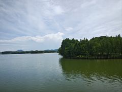 -苏州太湖国家湿地公园