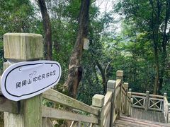 -南宁良凤江国家森林公园