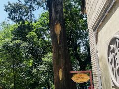 -终南山南五台景区