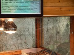-上海大自然野生昆虫馆(东方明珠·爬宠昆虫探索中心)