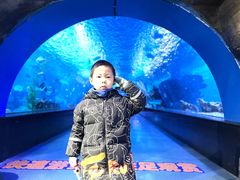 -静之湖湖畔餐厅