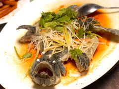 清蒸石斑-东鸽皇(奥园·中环广场店)