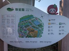 -苏州太湖西山岛开心农场