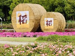 -嘉北郊野公园