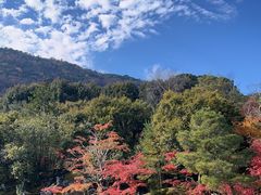 -天龙寺