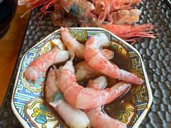 -月龍吟(朝龙汇店)