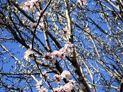 -龙湖星悦荟(颐和店)