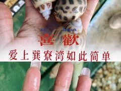 -新欢海鲜坊(赖屋店)