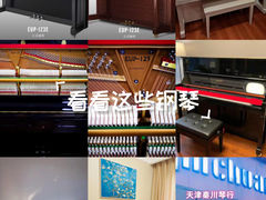 -秦川乐器(河西店)