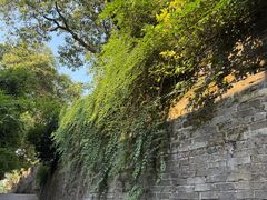 -白沙古井