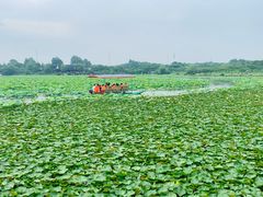 -上海海湾国家森林公园