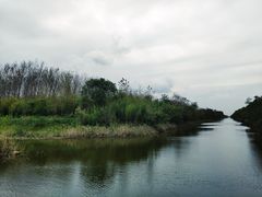 -黄海国家森林公园