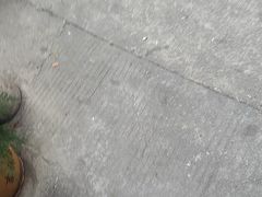 -南沙辉记烧鸡·荔枝木炭火吊烧(旧镇店)