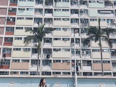 -彩虹村