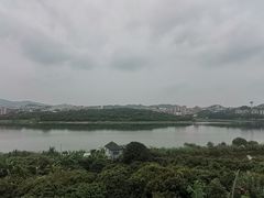 -东莞植物园