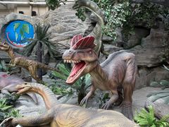 -国家自然博物馆