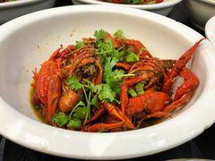 -猫姑娘大盘鸡(商城路店)